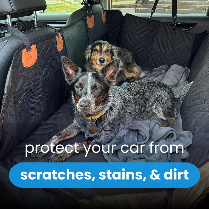 In-Car Image (dog sitting inside):
"Small dog sitting comfortably on the EvaniaSeat hard bottom pet car seat protector"
